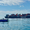 Diving in the Shipping Lanes