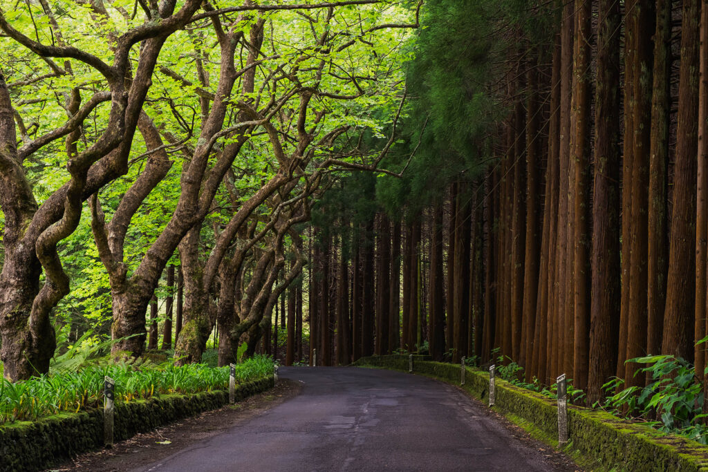 Santa Maria Island, The Azores
