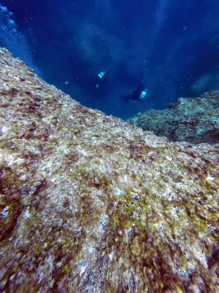 Ilhéu Mar da Barca, The Azores